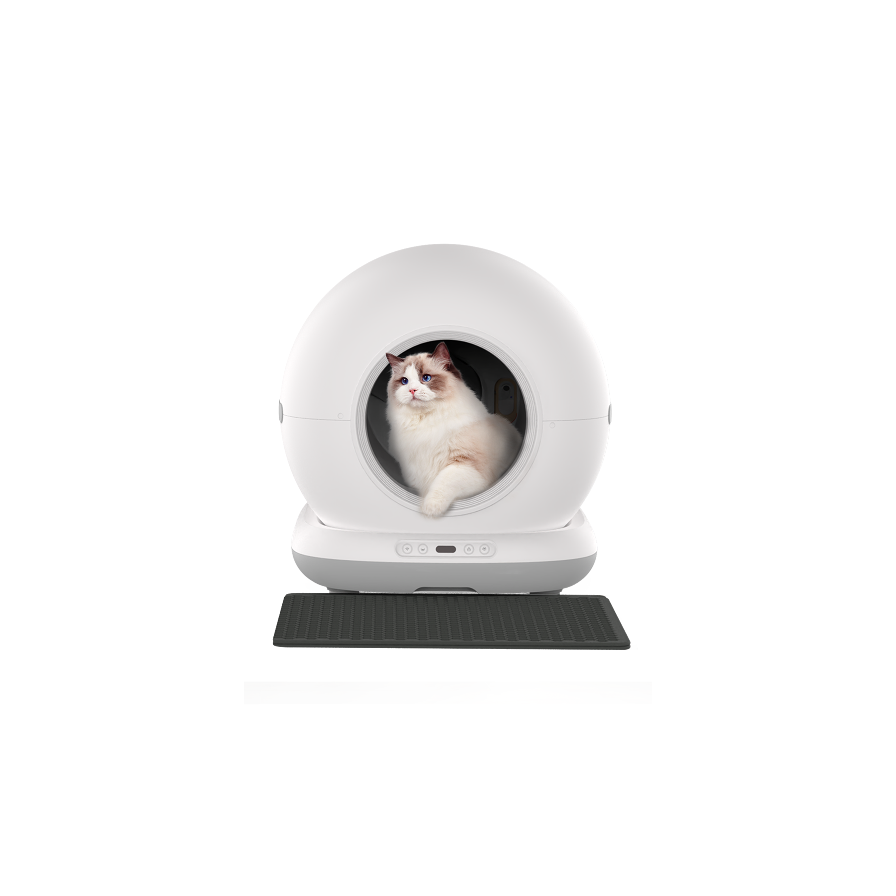 Whirtz Akıllı Kedi Tuvaleti