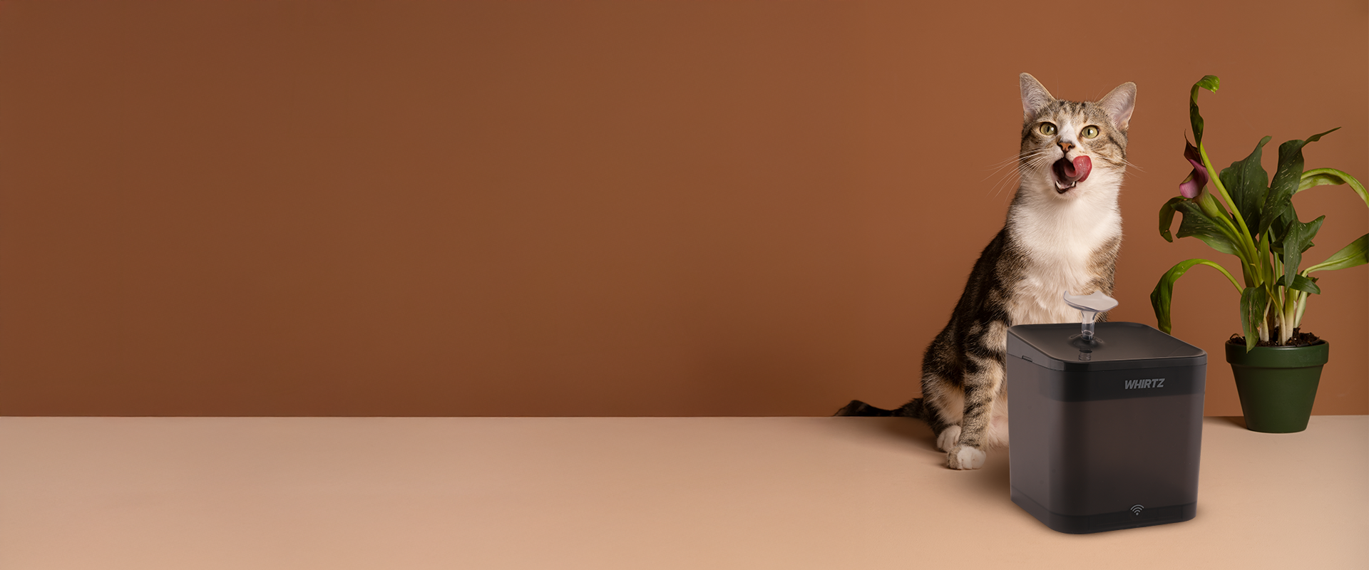 slider image slider_item_LbchDL