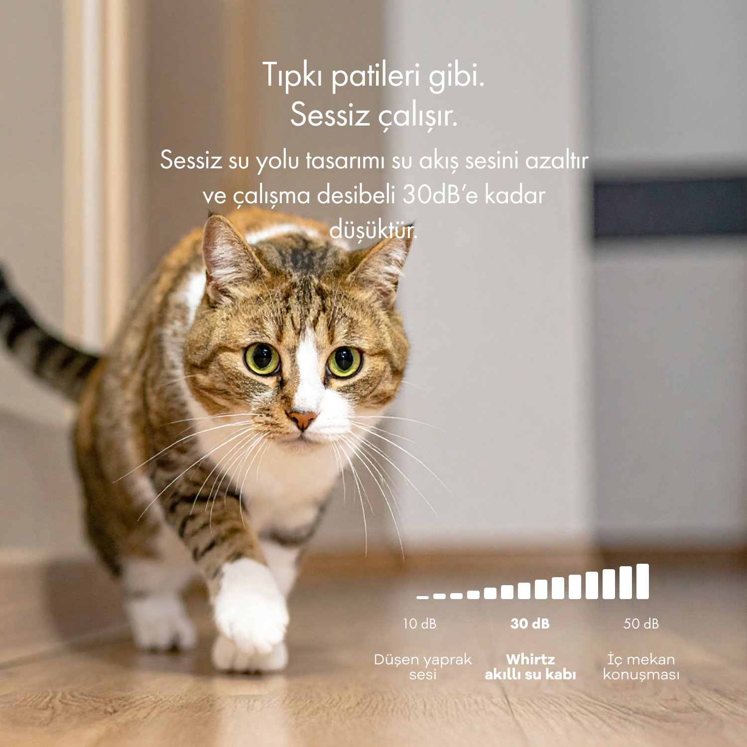 Whirtz Beyaz Akıllı Su Kabı